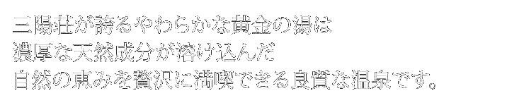 自然の恵みを贅沢に満喫できる良質な温泉です。